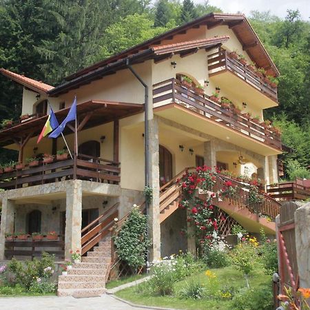Casa Anca Boutique Hotel Timisu de Jos Exteriör bild